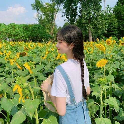 碧姬的變化
